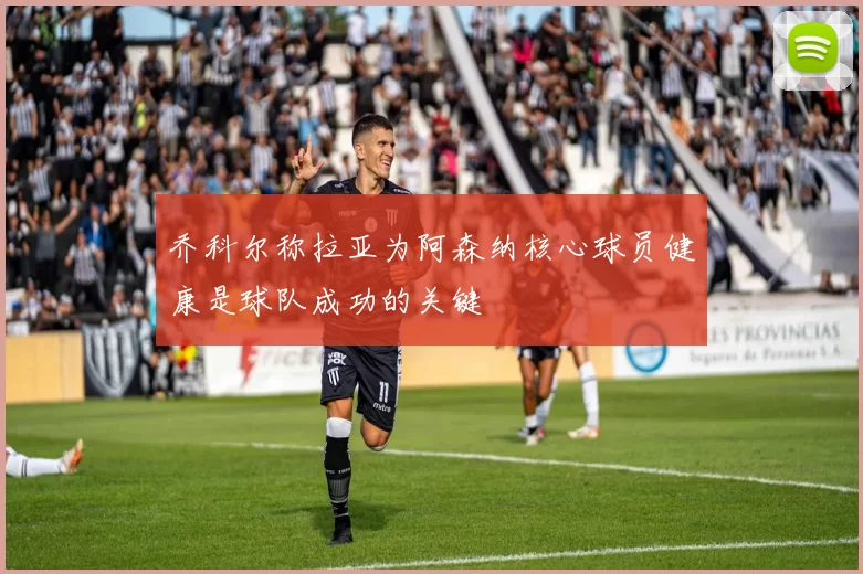 乔科尔称拉亚为阿森纳核心球员健康是球队成功的关键