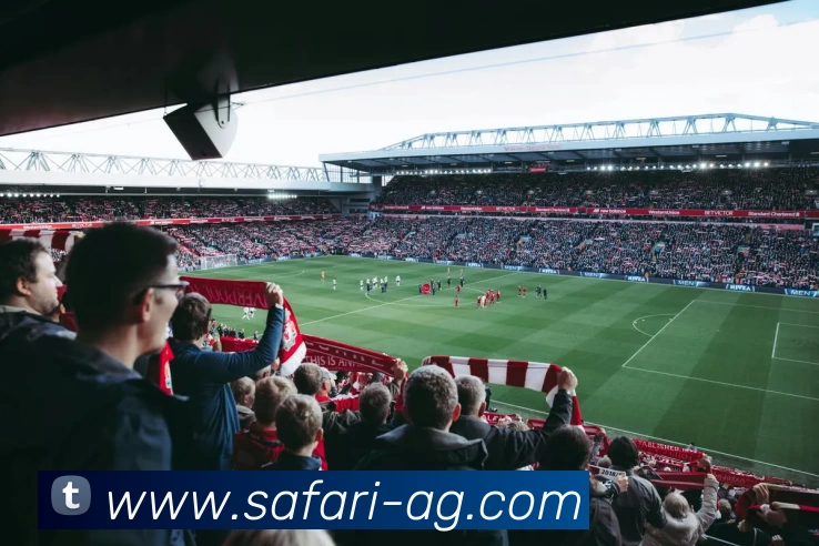 AG娱乐平台生态图